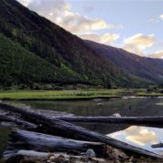 14ad3a52824a80f6847937fd8e89aeee