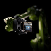 0970f0aad6878a79b1581ac1e3d79926