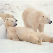 7091643b8534473fa12934a8ee105b2c