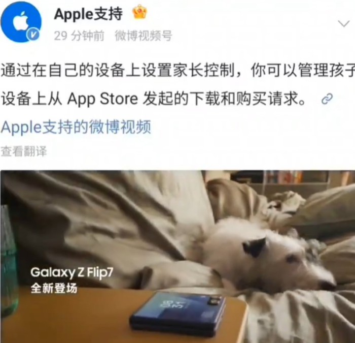 6e95095bbe8b45715655afb65797fca7