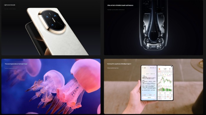 bd61750db40e44d58ba098054d3196bb